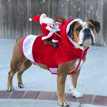 Christmas Red Santa Snowman Riding Outfit
