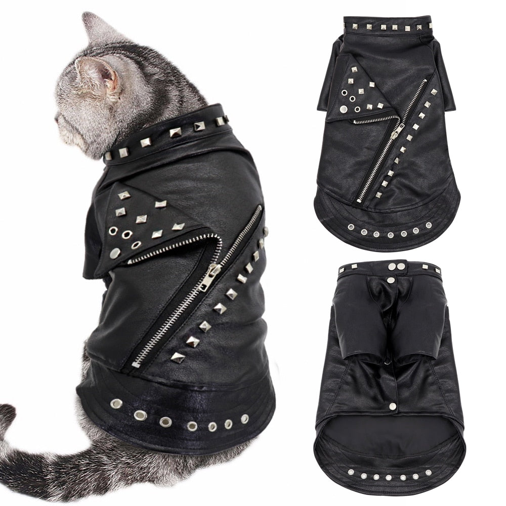 Leather Jacket For Cat