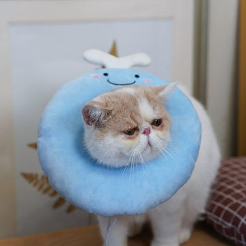 Fruit-Shaped Cotton Collar